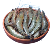 চিংড়ি কালেকশন
