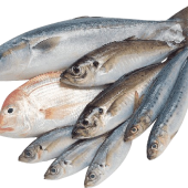 ছোট মাছ_